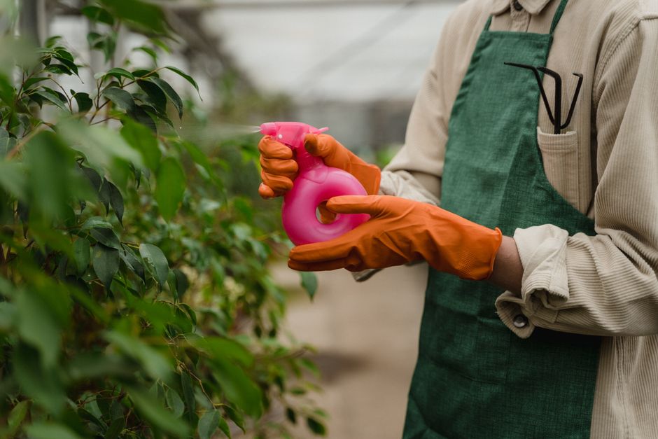 Landscaper spraying garden weeds and caring for plants